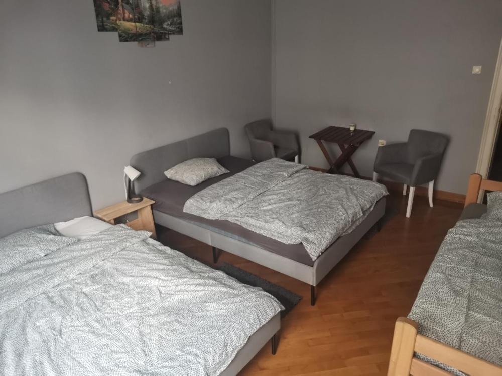 Cozy Palace Hostel Belgrade Exterior photo